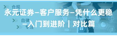 永元证券—客户服务—凭什么更稳—入门到进阶｜对比篇