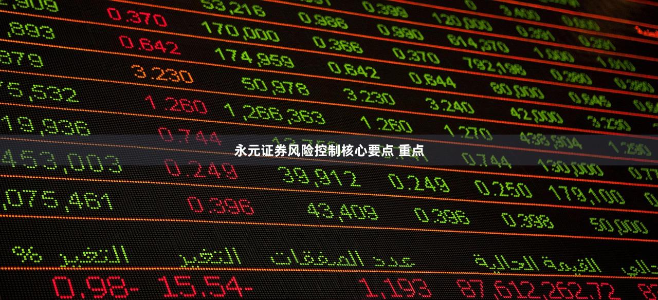 永元证券风险控制核心要点 重点