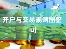 开户与交易规则图鉴 uj