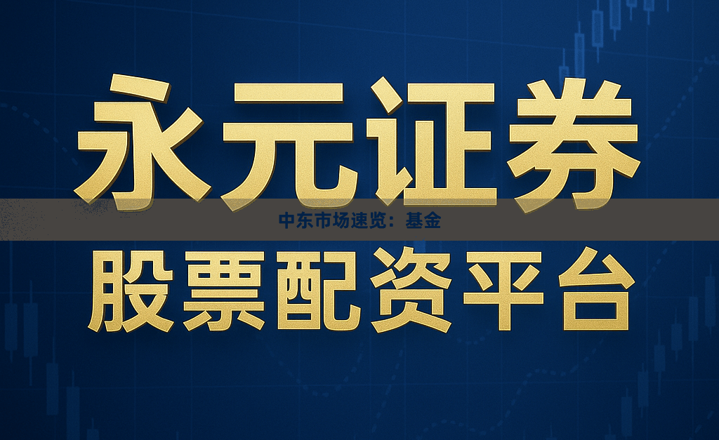 中东市场速览：基金